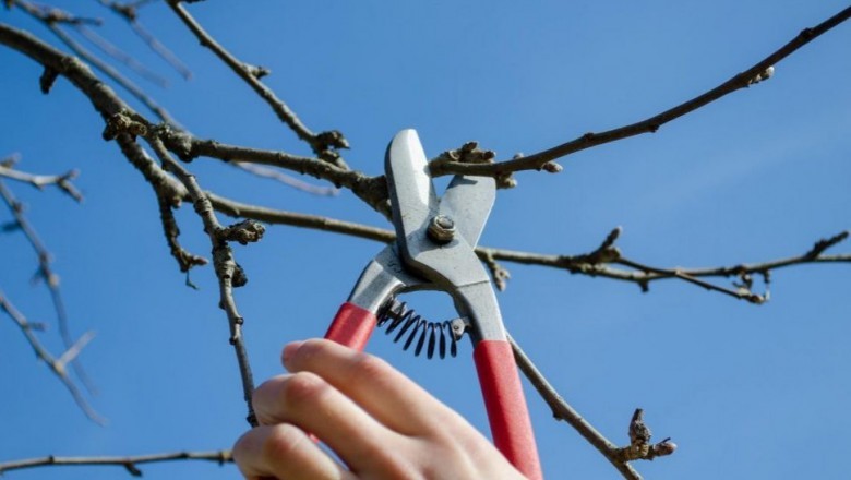 The most beneficial Lawn Mowing Service