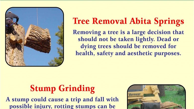 Tree Removal Covington | Best Tree Removal