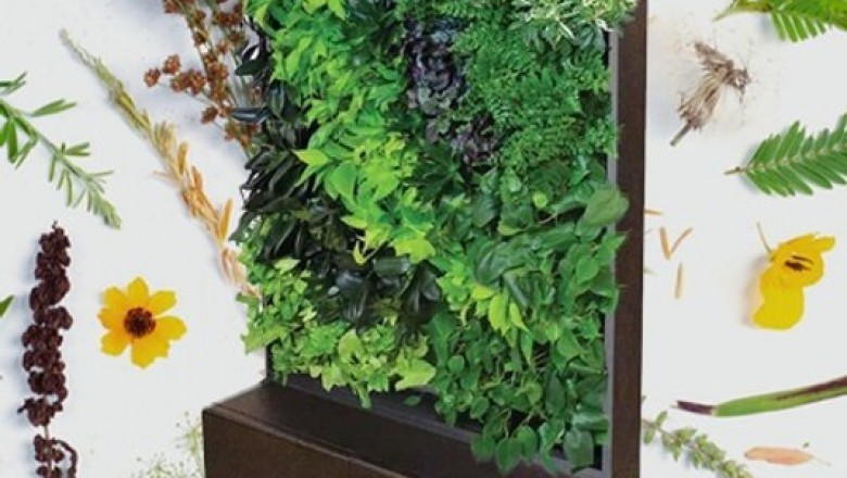 Discover the latest in sustainability and green design.