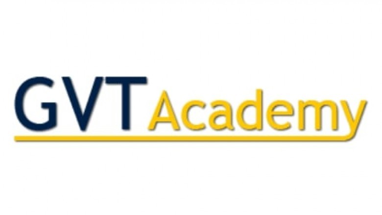 Finest Mis Training Institute in Noida, Mis Classes in Noida - GVT Academy