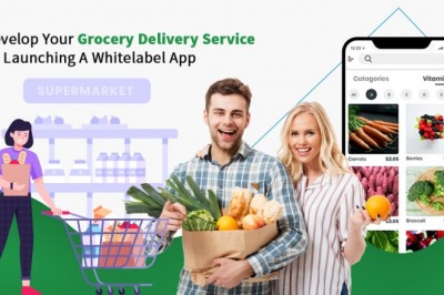 Connect the best developers to build a successful grocery delivery venture