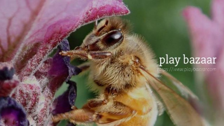 find out satta result