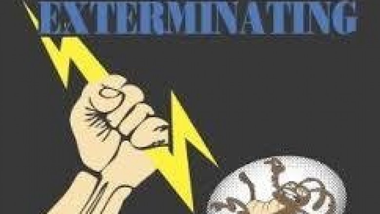 spider control in Tampa