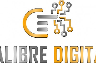 5 Reasons Why Your Website Needs SEO | Calibre Digital Marketing