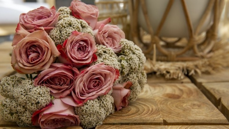 Discover the Features of Sola Wood Flowers