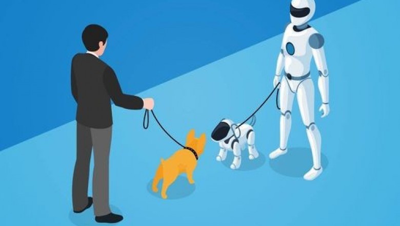 Digital Agency Sydney: