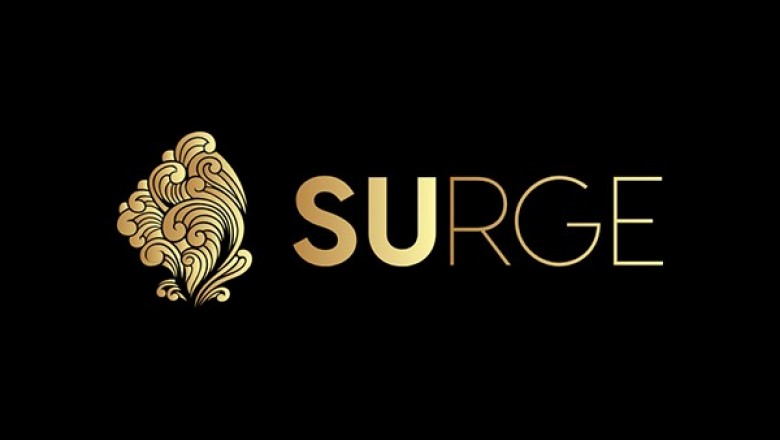 Surge Digital Agency
