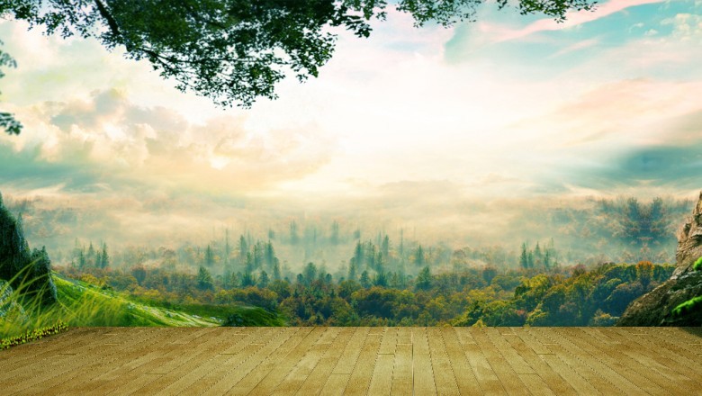 Situs PlayerQQ - Situs Poker Online Yang Terpercaya Di Indonesia Saat Ini 1