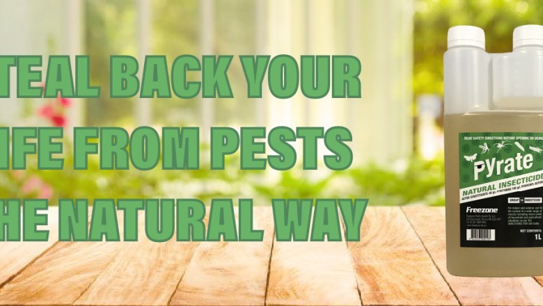 Buy Pest Control Products