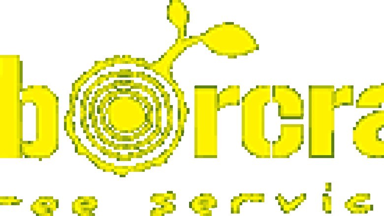 How does Tree Risk Management Work?