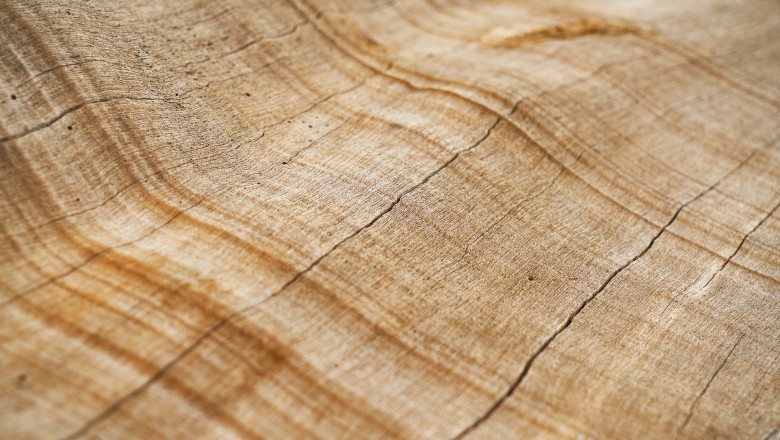 Uniting Floors-Most durable Timber Flooring by Specialists