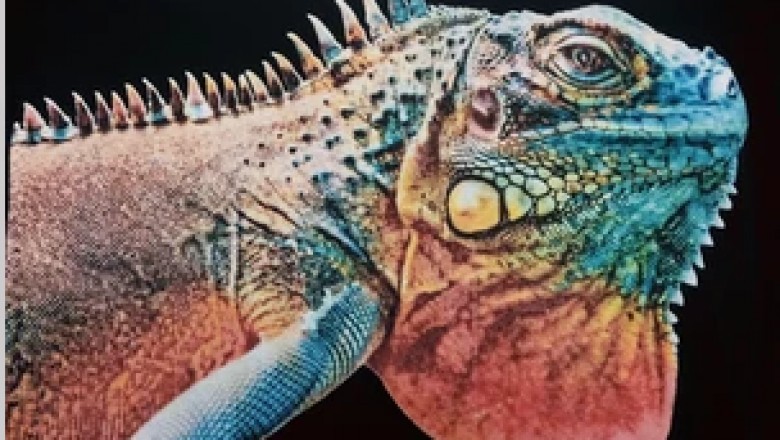 DIGITAL 3D PRINT - textile printing company
