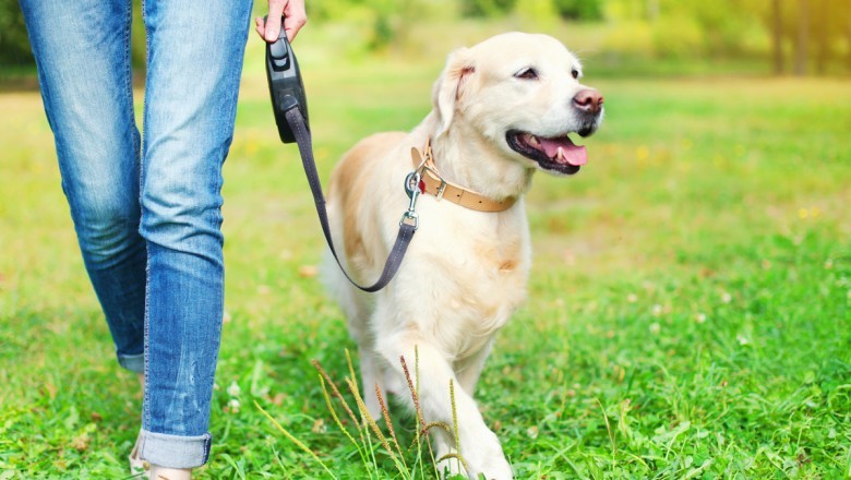 Entrepreneurs can get stellar on-demand pet sitting app from Appdupe