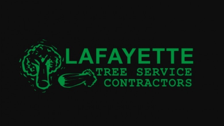 4 Signs That you Need to Hire A Tree Service Contractor