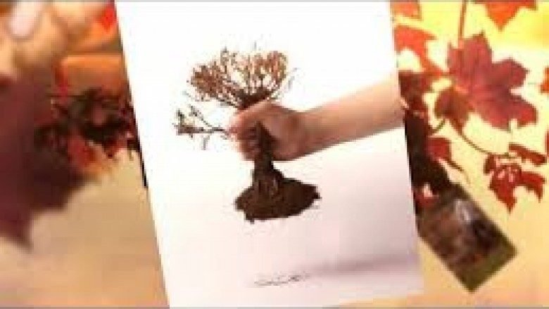 Free Site Test Charlotte