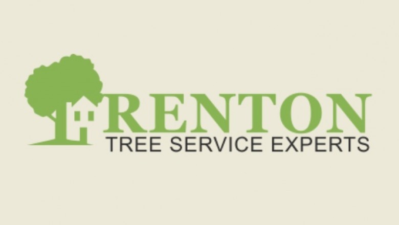 Hiring Tree Service Specialists To Manage Your Trees
