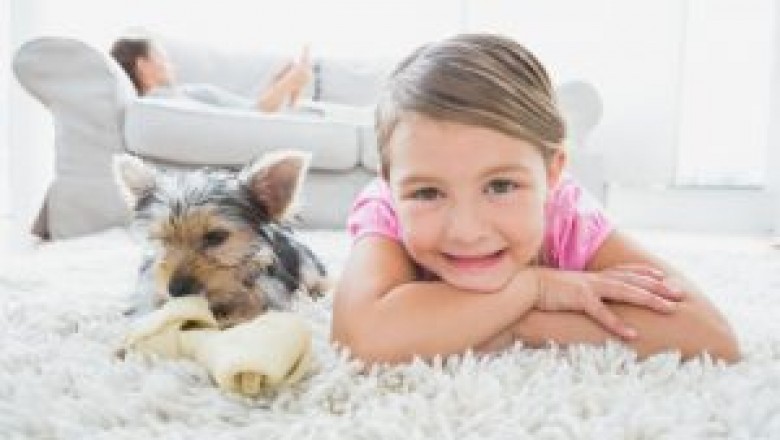 Coolbreeze Evaporative Cooling Maintenance