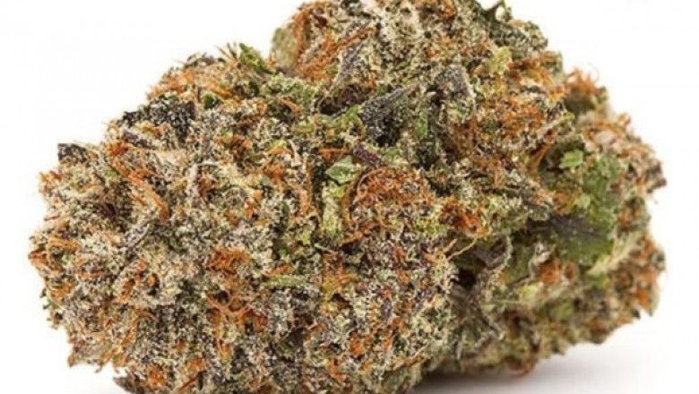 Guidelines and tricks for pot party hosts