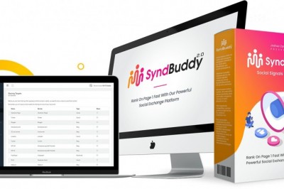 SyndBuddy 2.0 review