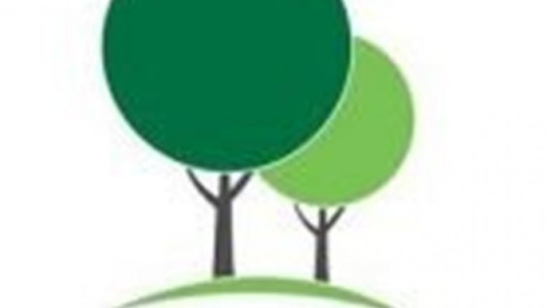Tree Removal - Two Vital Things to remember