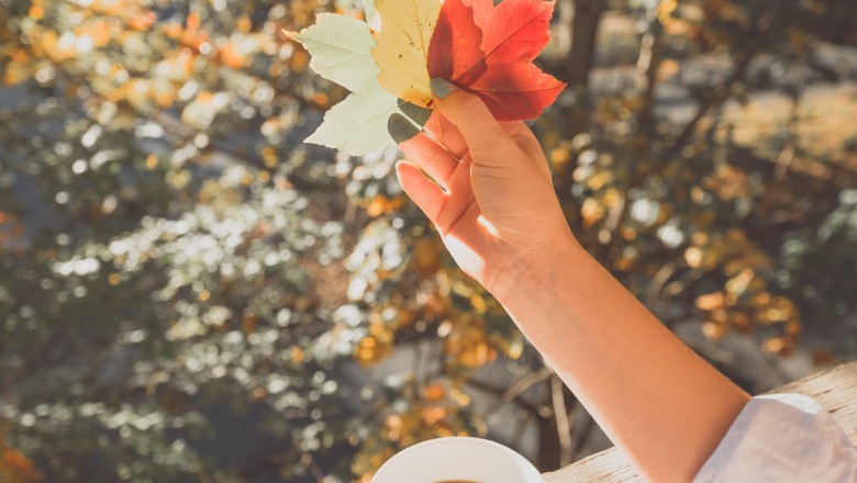 What To Count on From A Coffee Shop