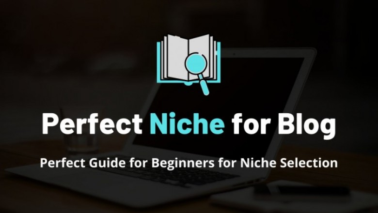 How to Choose Perfect Niche for Blog - SNUVERMA | Digital Marketer