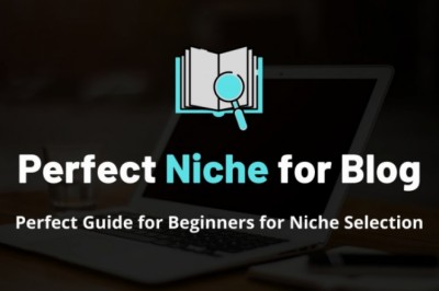 How to Choose Perfect Niche for Blog - SNUVERMA | Digital Marketer