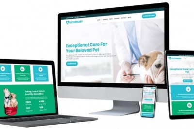 Veterinary Client Systems Review