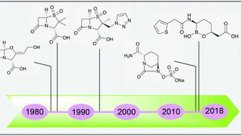 Beta-Lactam and Beta-lactamase Inhibitor Market by Global Demand and Supply 2020 to 2030