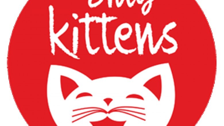 Top Kitten Obtaining Tips