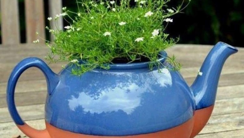 Garden Shop Online Launches Brand New Online-Only Store for Modern Garden Owners in the UK