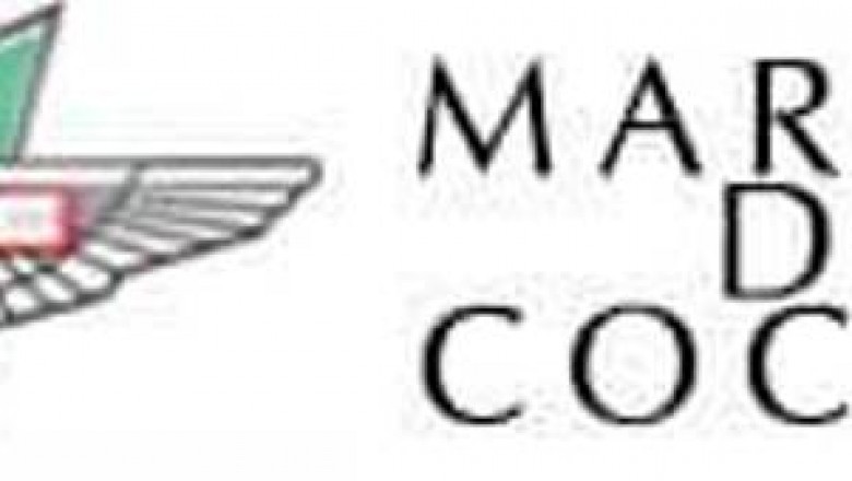 What Luxury Car Brand Suits You?