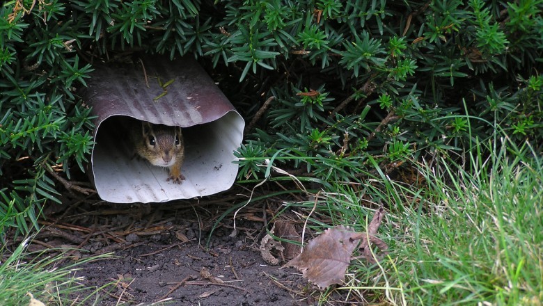 How to Cut the Eavestrough Downspout | Alpine Eavestrough