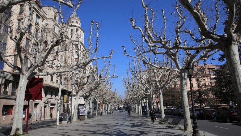 Wonderful Sightseeing Options of Lleida
