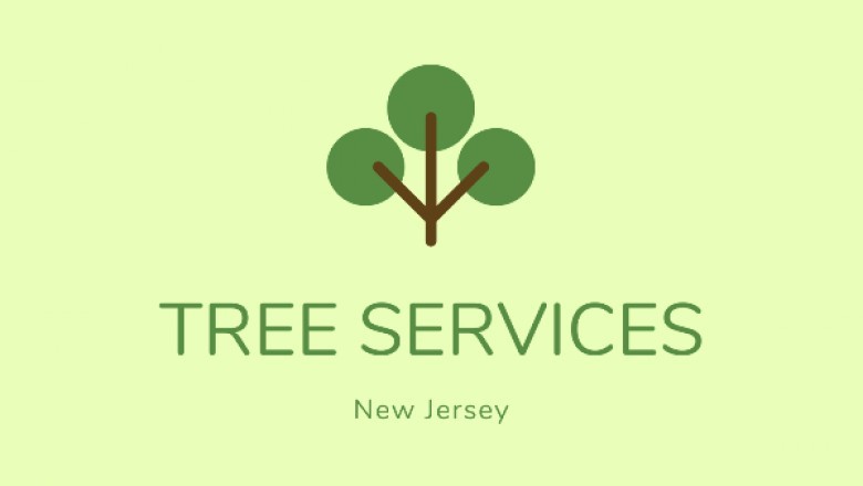 Tree Service Companies Do Far more Than Just Removals