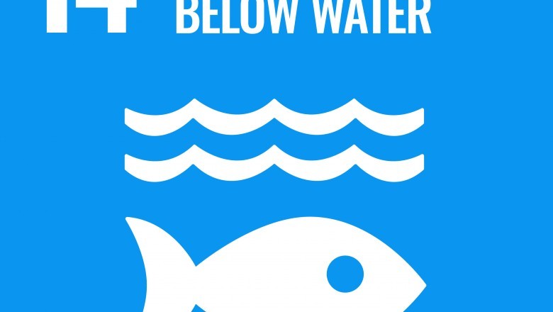 Climate Action and Life below Water Haryana