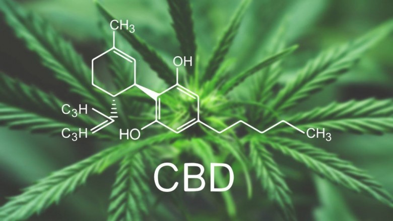 How Do I Know If Cbd Is Working For Me?