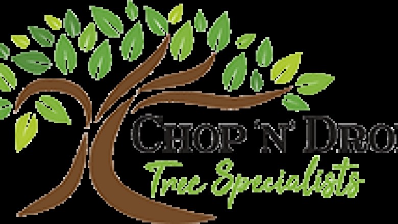 Arborist Newcastle - Chop & Drop
