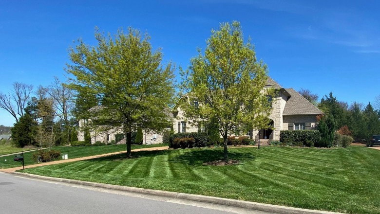 Lawn Service Antioch