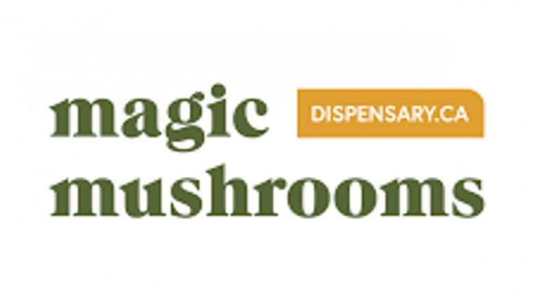 Magic Mushrooms: The Complete Beginner’s Guide