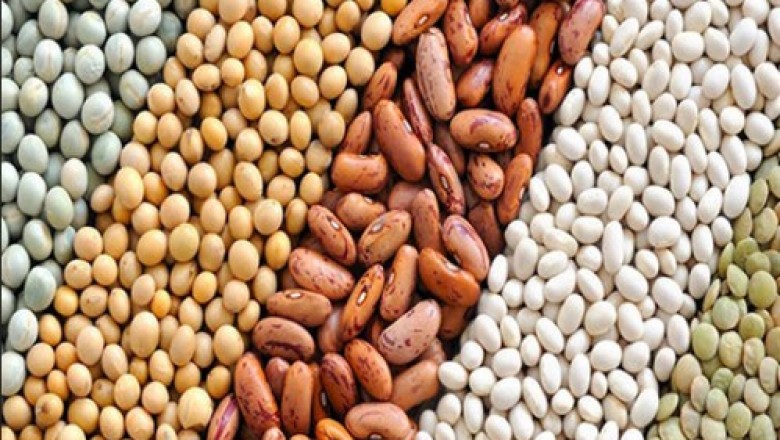 Why Agriculture is the breath of an Indian Economy?