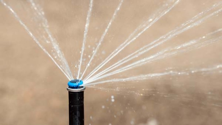 Simply How Much Watering Must I H2o My Grass?