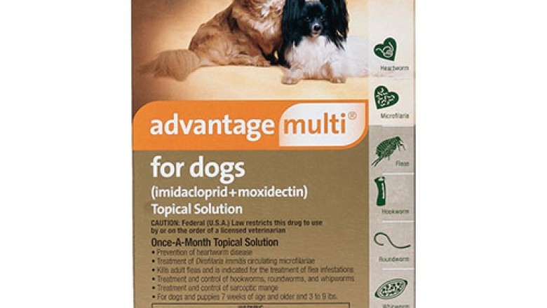 Advantage multi for dogs | Flea and Heartworm Preventatives for Dogs
