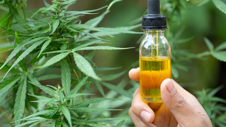 What Are The Actual Benefits of CBD?