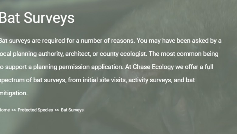 Why Do I Need a Wildlife Survey or even a Bat Survey?