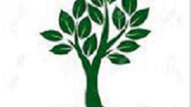 Peoria Tree Removal