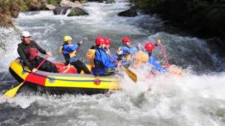 Things to do in Bay of plenty NZ