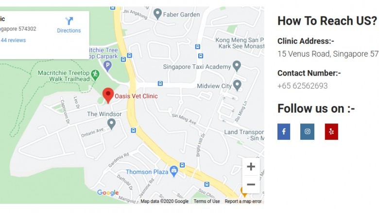 Qualities A Good Veterinarians Should Possess