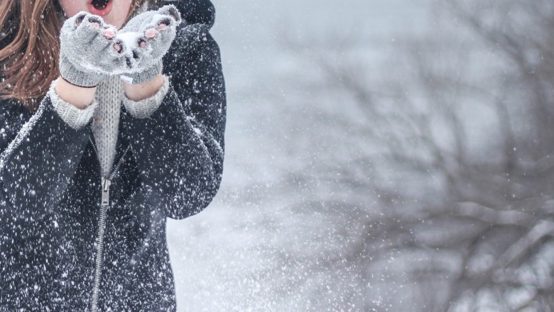 The Top Designs for Winter