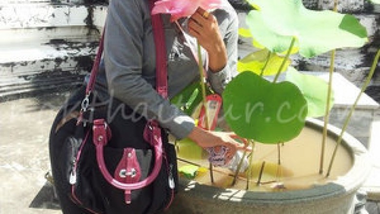 Day Tours in Bangkok- A Lifetime Experience